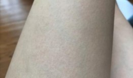 吃鸡皮肤爆料最新带翅膀,吃鸡新皮肤带给你飞翔的快感！