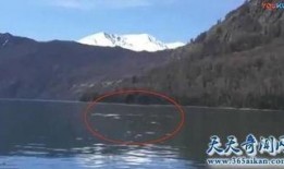 喀纳斯湖最新爆料,探寻自然奇观背后的传奇故事